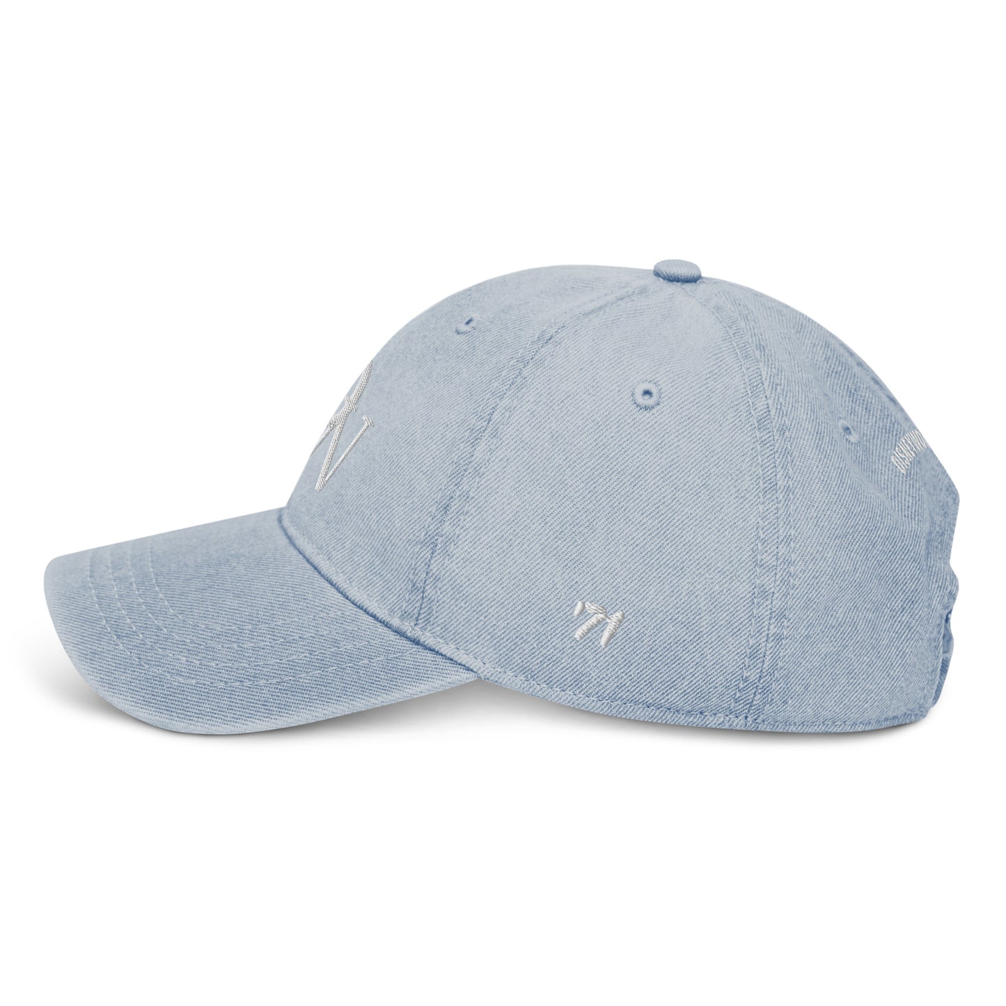 DW Monogram Disneyworld Embroidered Denim Hat